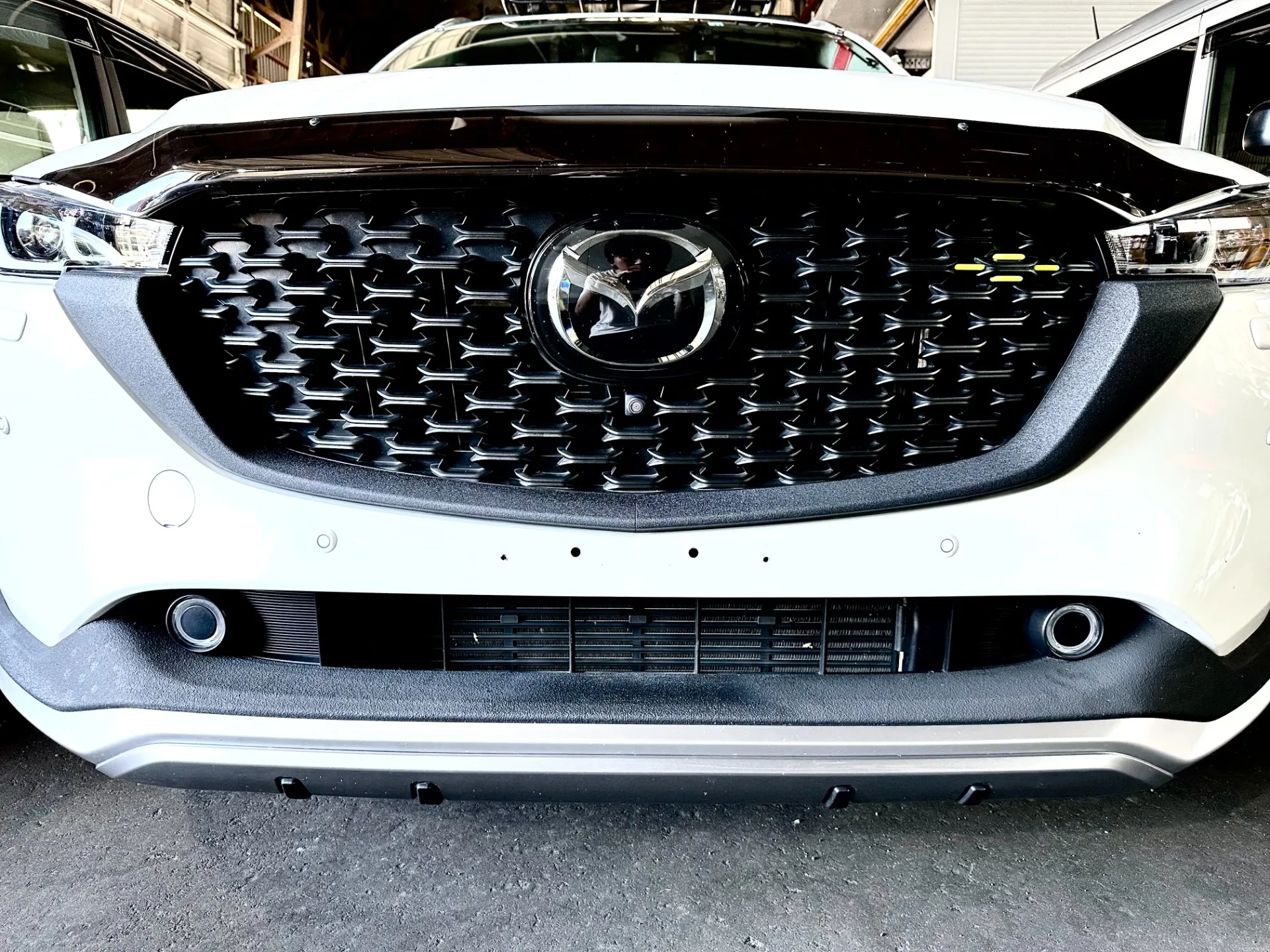 ラプターライナー